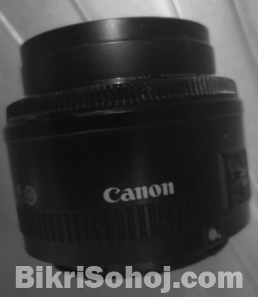 Canon 50mm f1.4 stm prime lens
